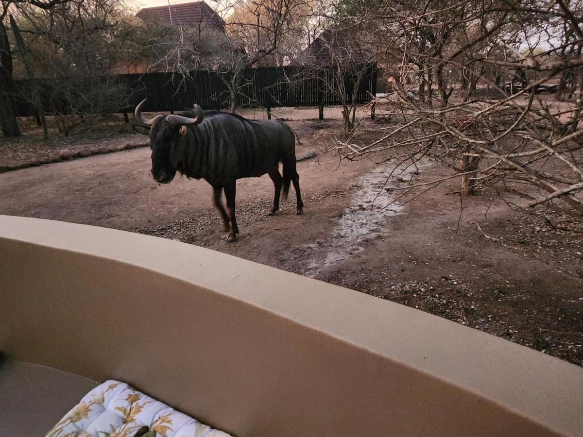 Kudus Crest Bush Retreat Lägenhet Marloth Park Exteriör bild