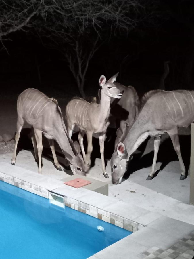 Kudus Crest Bush Retreat Lägenhet Marloth Park Exteriör bild